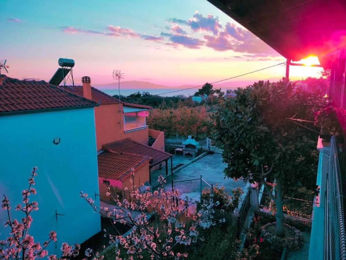 Adam'S Holiday House 2019 Karianí Dış mekan fotoğraf