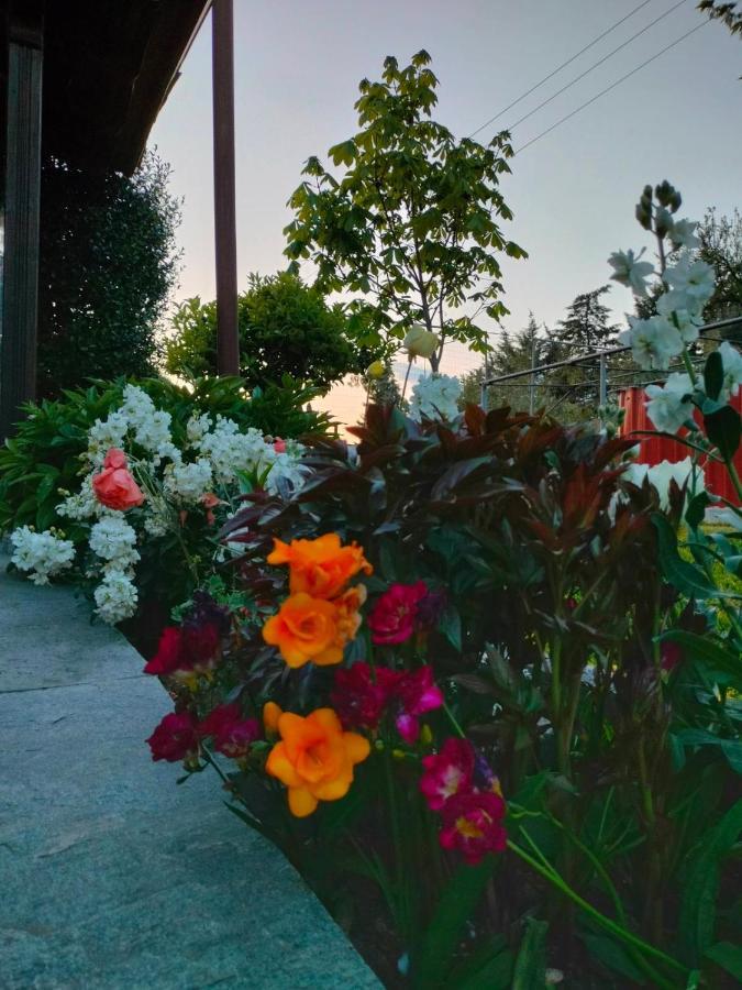 Adam'S Holiday House 2019 Karianí Dış mekan fotoğraf
