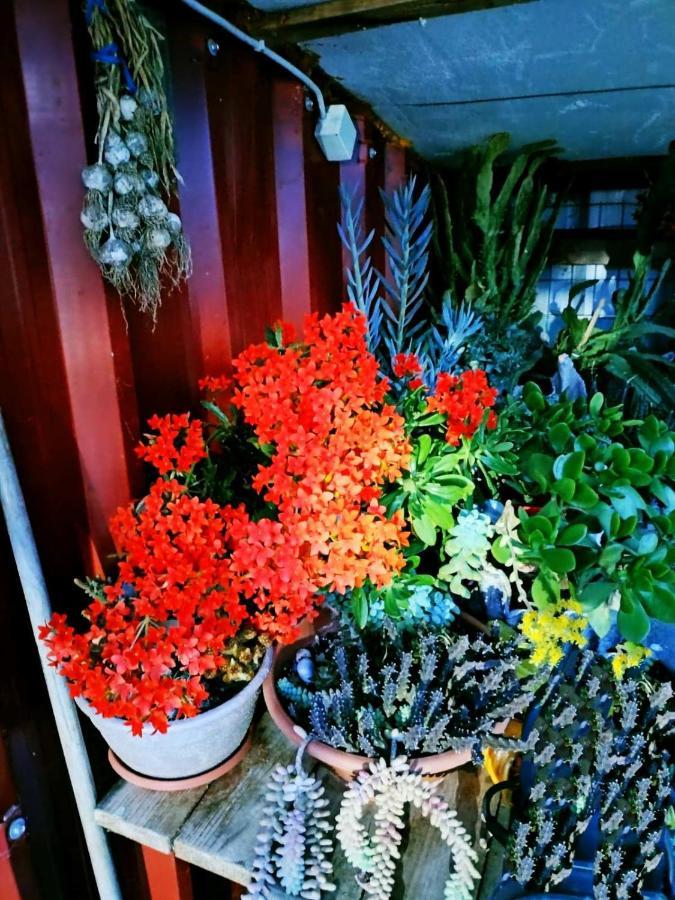 Adam'S Holiday House 2019 Karianí Dış mekan fotoğraf