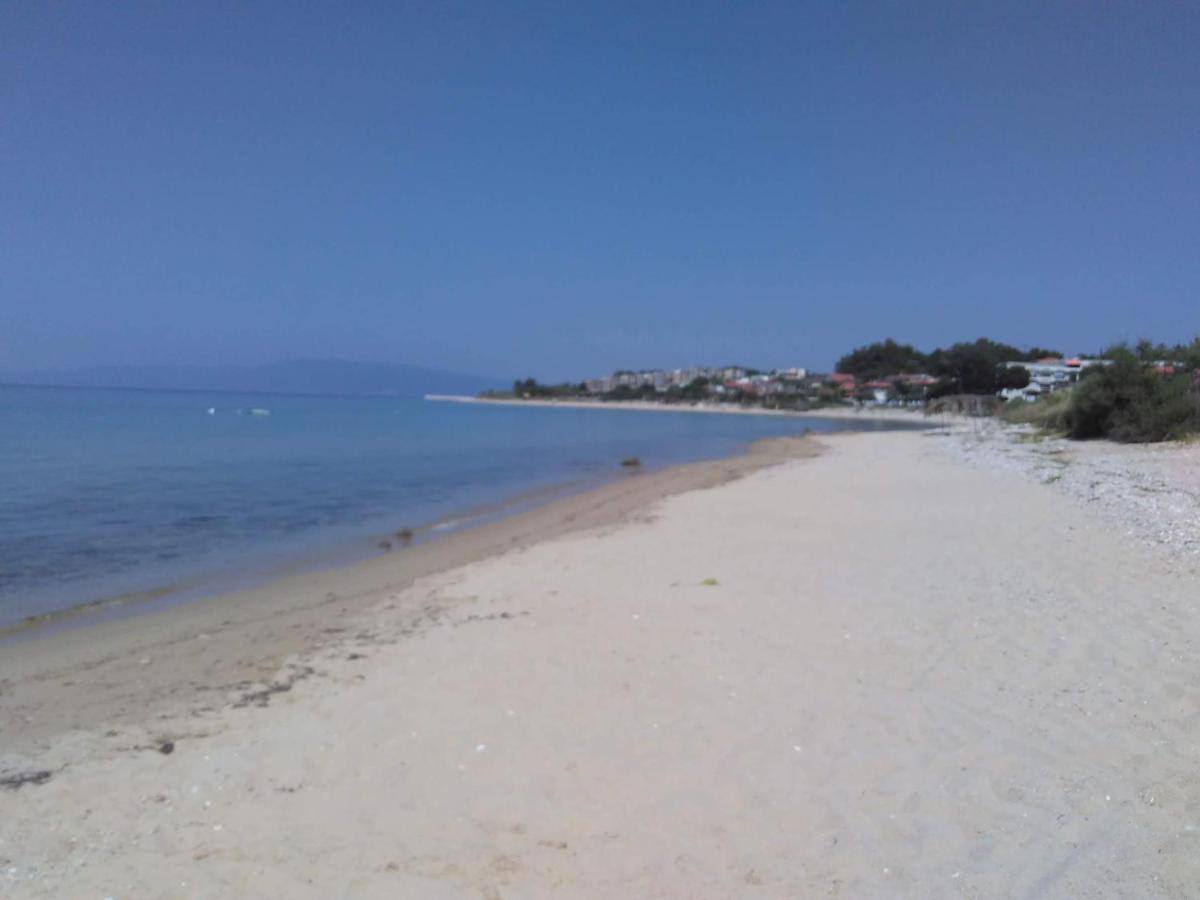 Adam'S Holiday House 2019 Karianí Dış mekan fotoğraf